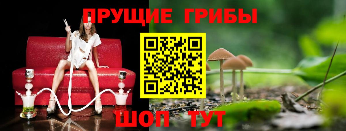 Псилоцибиновые грибы мицелий  Галлюциногенные грибы ЛСД  Троицк  Вход с VPN 